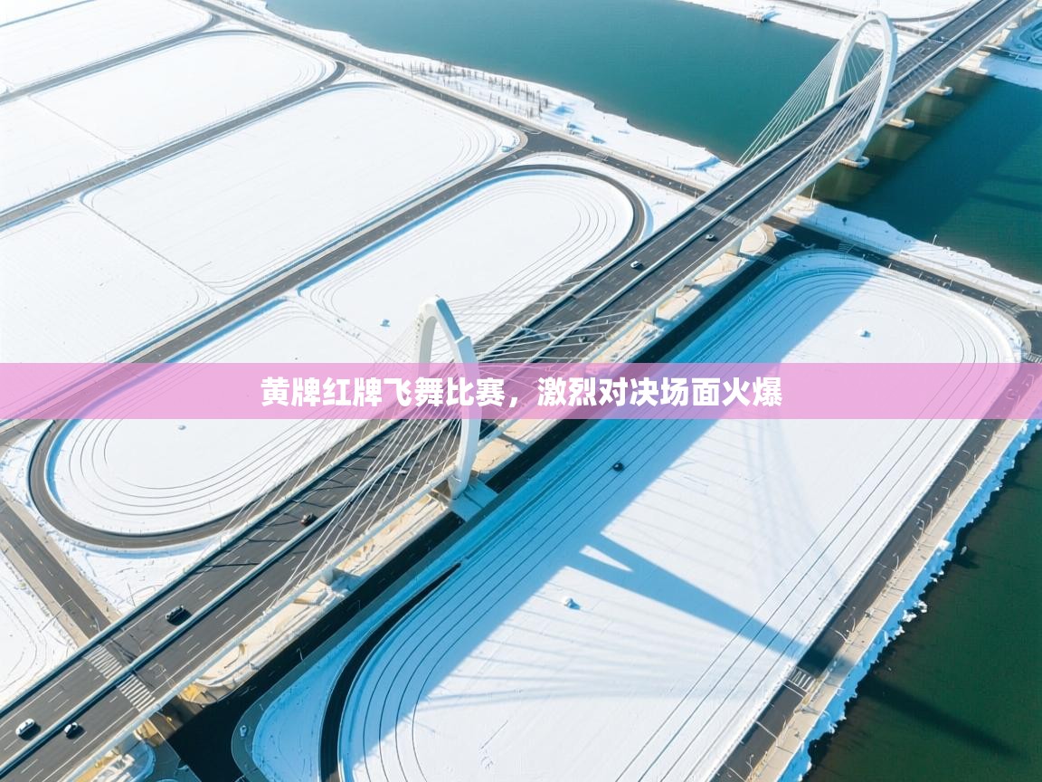 黄牌红牌飞舞比赛，激烈对决场面火爆  第2张