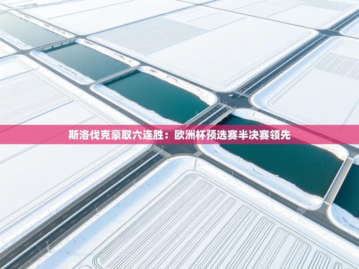 斯洛伐克豪取六连胜：欧洲杯预选赛半决赛领先  第1张