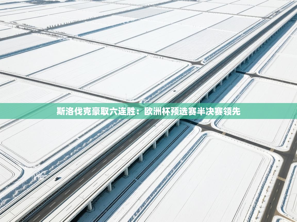 斯洛伐克豪取六连胜：欧洲杯预选赛半决赛领先  第2张