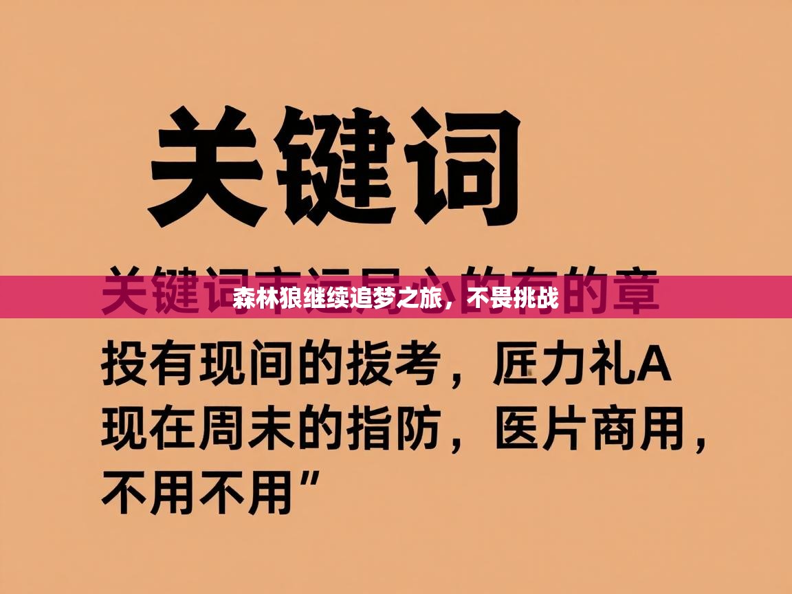 森林狼继续追梦之旅，不畏挑战  第2张