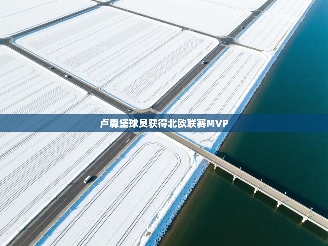 卢森堡球员获得北欧联赛MVP 第1张