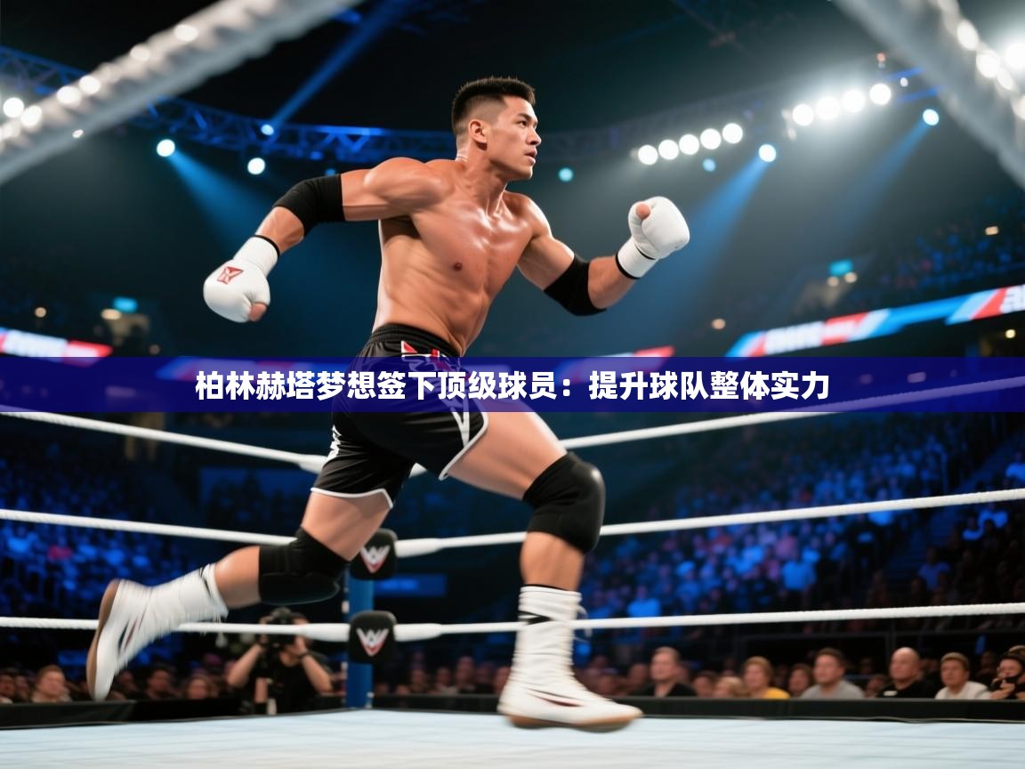 柏林赫塔梦想签下顶级球员：提升球队整体实力  第1张