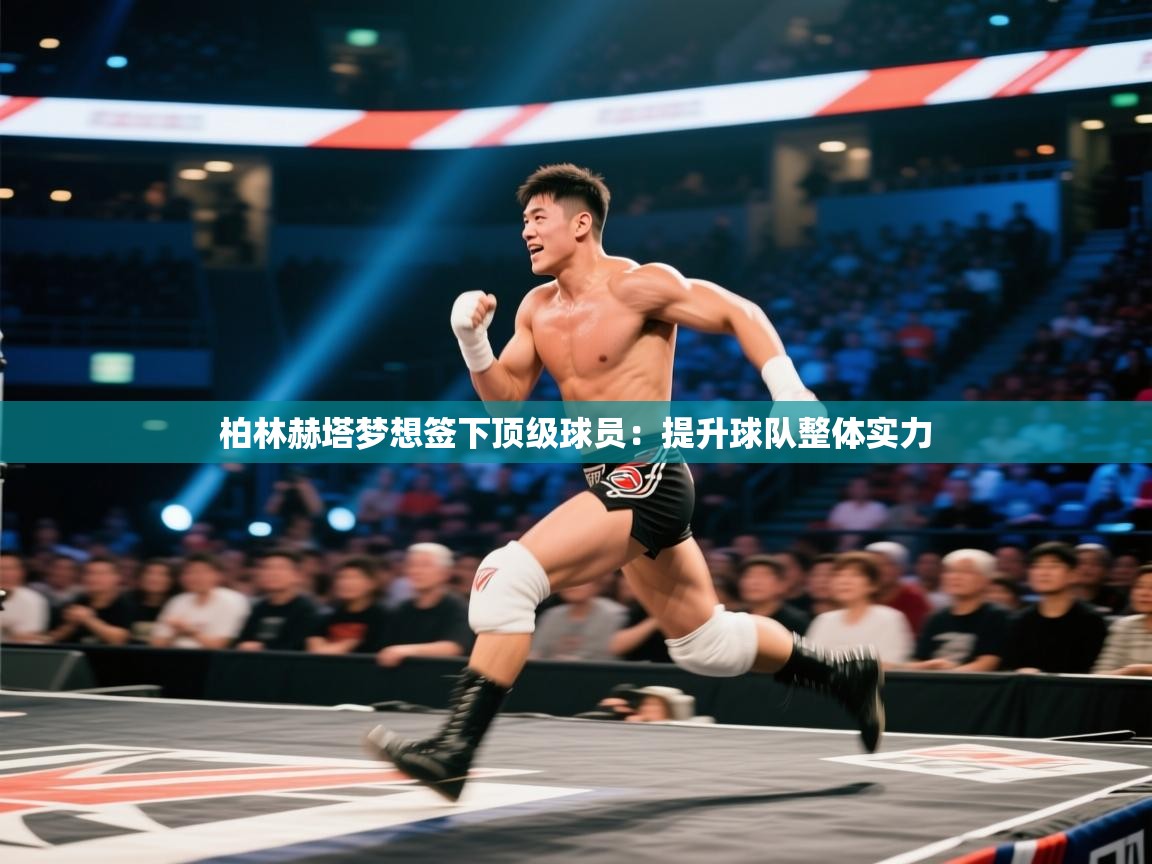 柏林赫塔梦想签下顶级球员：提升球队整体实力  第2张