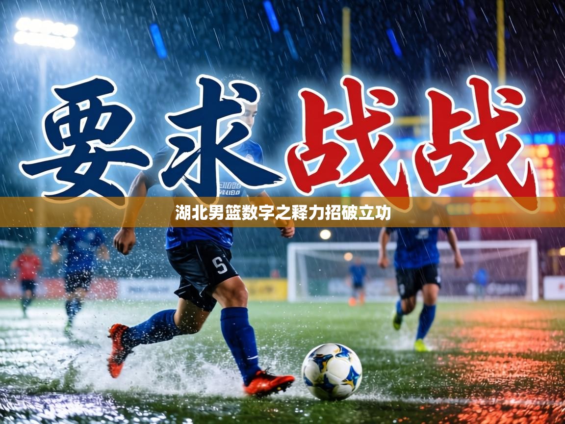 湖北男篮数字之释力招破立功