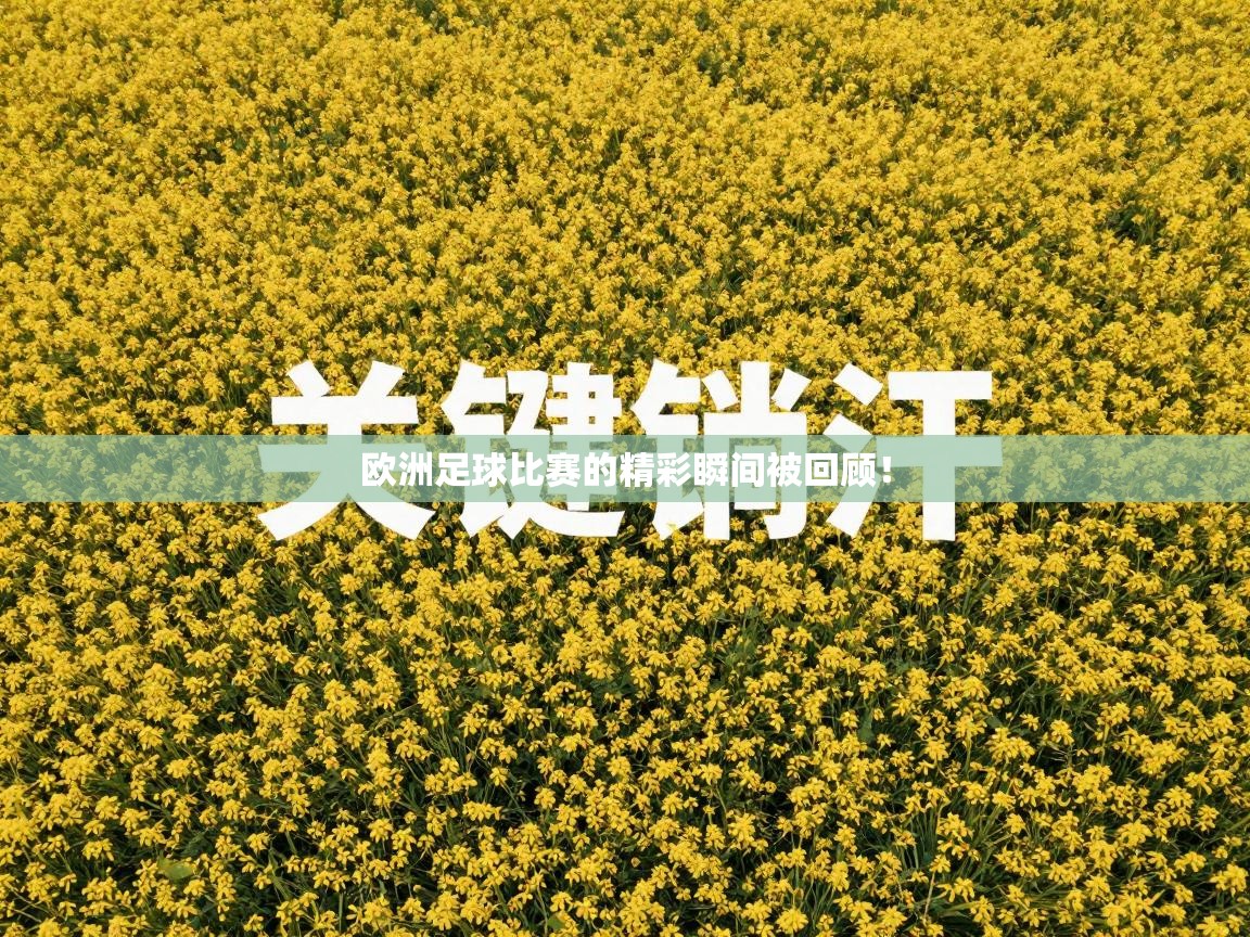 欧洲足球比赛的精彩瞬间被回顾！  第1张