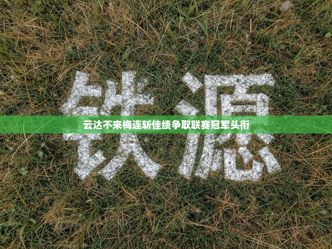 云达不来梅连斩佳绩争取联赛冠军头衔 第1张