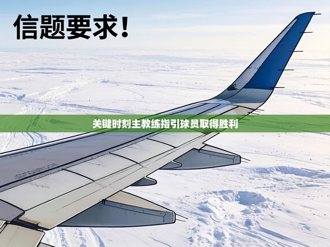 关键时刻主教练指引球员取得胜利  第1张